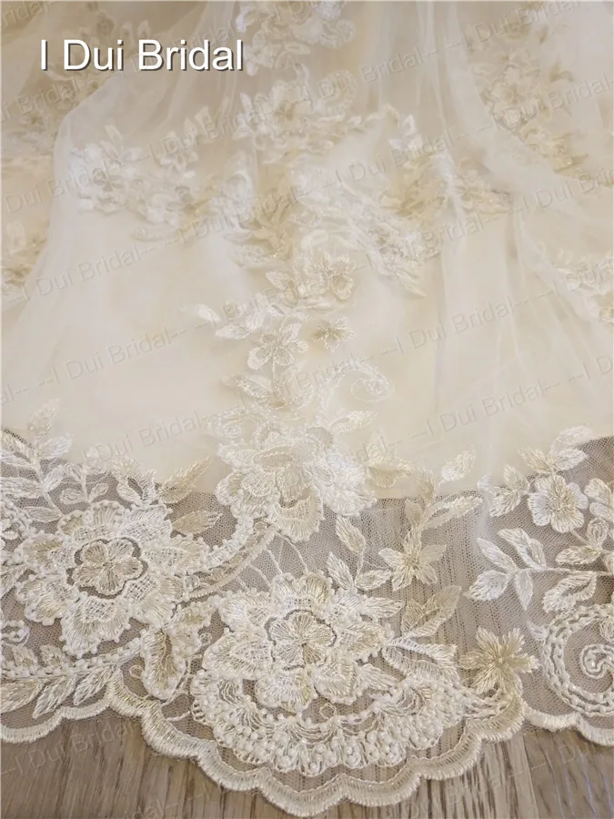 SC-293 (12)_