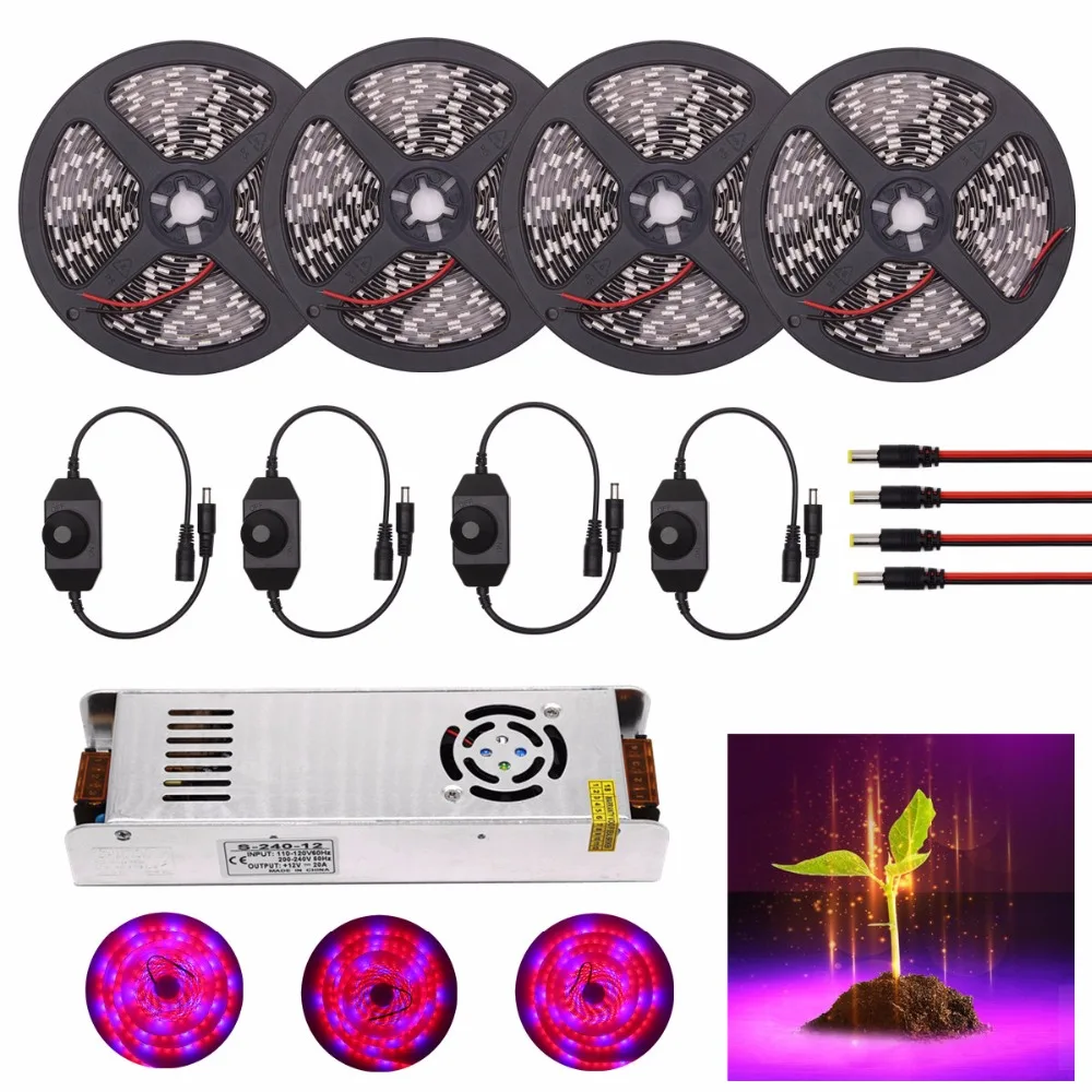 

DC 12V LED Grow Lights Waterproof 5050 5M 10M 15M 20M 30M Plant Growing LED Strip Light Flexible tape 60led/m with Power Dimmer