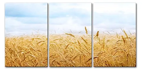 3 Pieces Canvas Art Paintings Printed Harvested wheat Wall Art Print