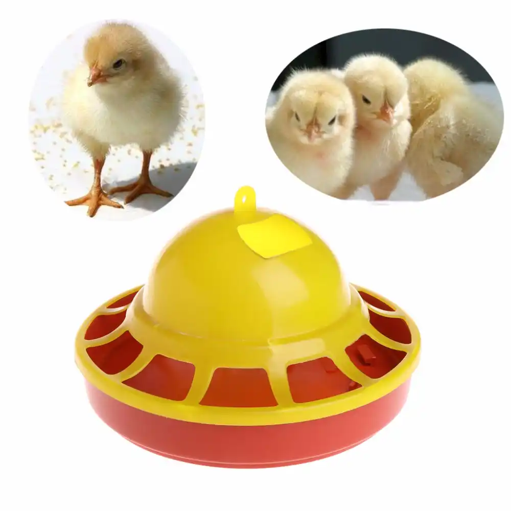 Chicken Drinking Automatic Chick Drinking Fountain Brooder