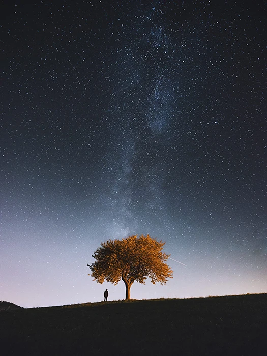 Alessio-Lin-Where-The-Real-World-Ends-1600x2400