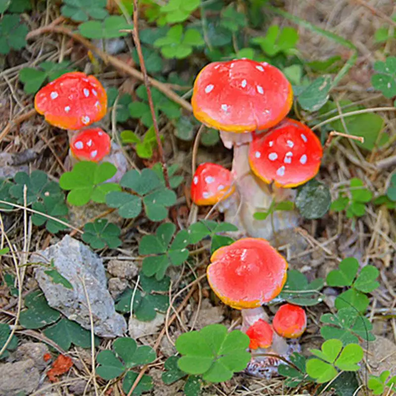 Высокое качество Прекрасный DIY гриб Toadstool миниатюрный волшебный сад-Террариум фигурка кукольный домик украшение