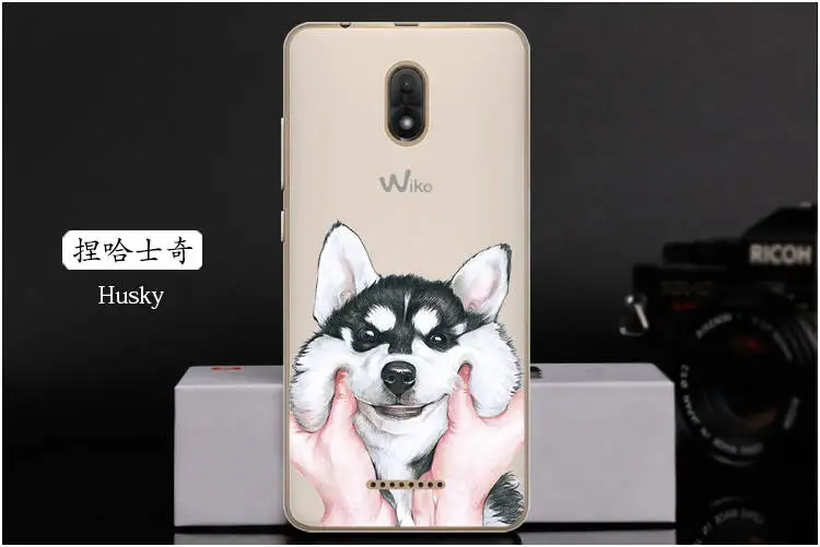  Husky
