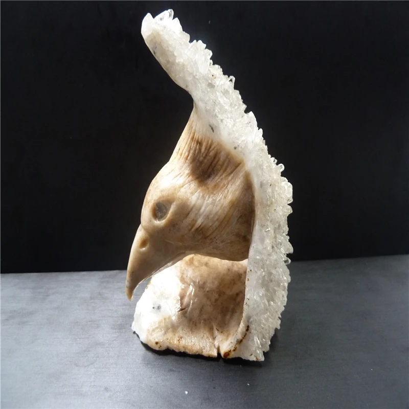 

NATURAL QUARTZ CRYSTAL bird skull eagle T740