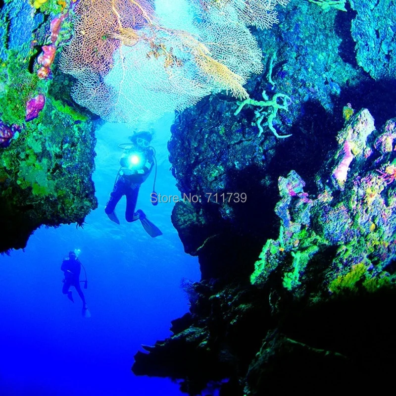 Diving lights  (7)