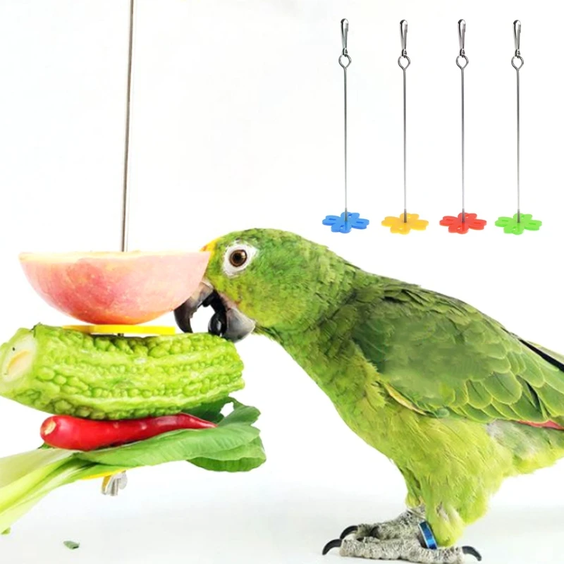 Parrot Fruit Fork Feeding Birds Hang Cage Stainless Steel Parakeet Skewer 2 Size Parakeet Budgie Small Animal Stainless Steel parrot feeder