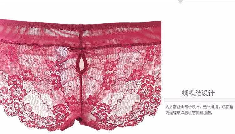 French Famous brand transparent bra romantic temptation lace bra set young women underwear set push up bra and panty set BS307 13