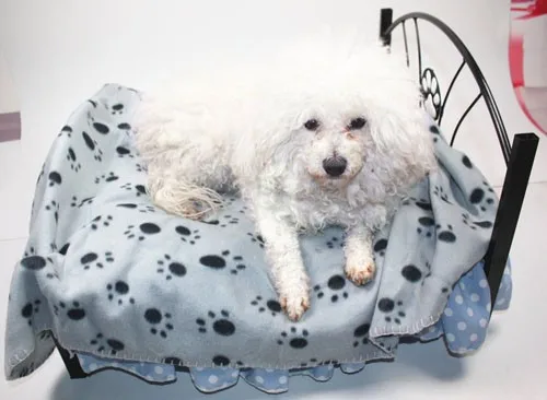 91bzFimjC5L._SL1500_