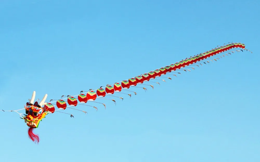 Free Shipping High Quality Chinese Traditional Crafts Dragon Head Centipede Children Kite Seven Meters Long (7)