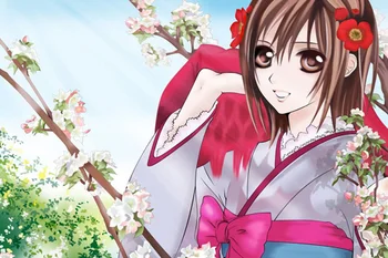 

Vampire Knight Anime Yuki 45*35CM Pillow Case #25026