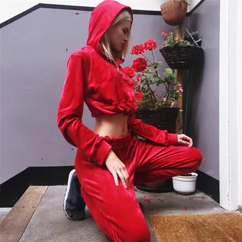 

BKLD Suits Set 2 Two Piece Women Fashion 2018 Autumn Winter Sweatsuit Long Sleeve Crop Top Hoodies+Pants Casual Velvet Tracksuit