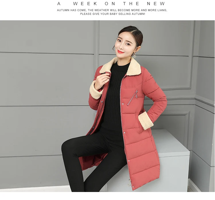 Women Jacket Winter Coats Long Outwear Jackets Cotton Padded Clothing Zipper Warm Winter Jacket 2018 Korean Ladies Coat CH642 (3)