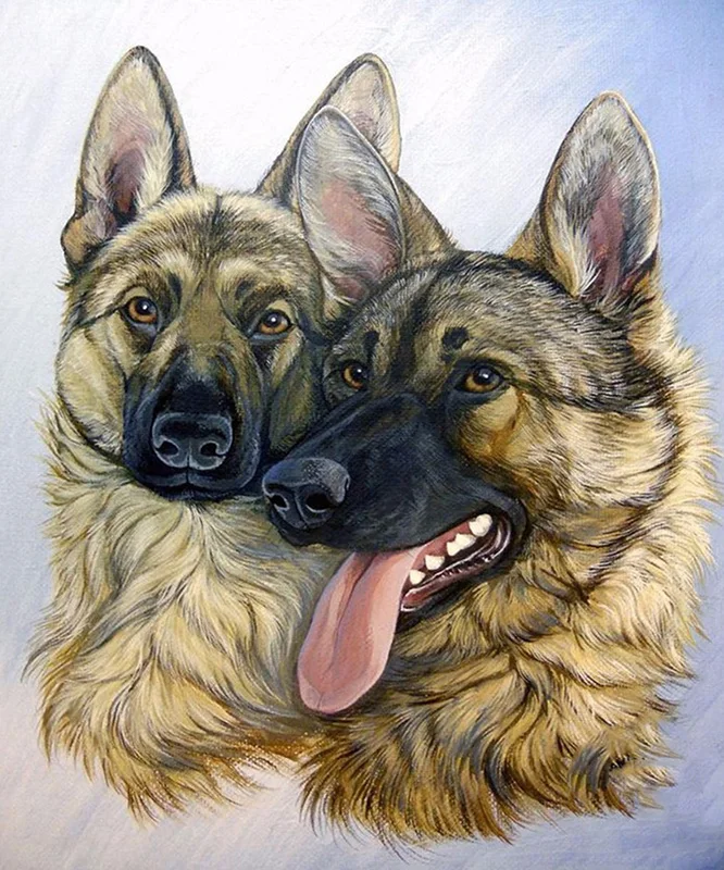 

5D Diy Diamond Painting Cross Stitch Dogs Full Square Diamond Embroidery Sale Rinestones Painting Diamond Mosaic Decor