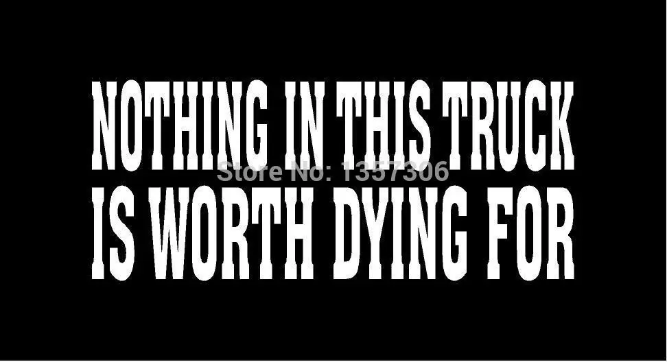 Cool Graphical NOTHING IN THIS TRUCK WORTH DYING FOR Vinyl Decal car Window Truck SUV Bumper Sticker 8 Colors |