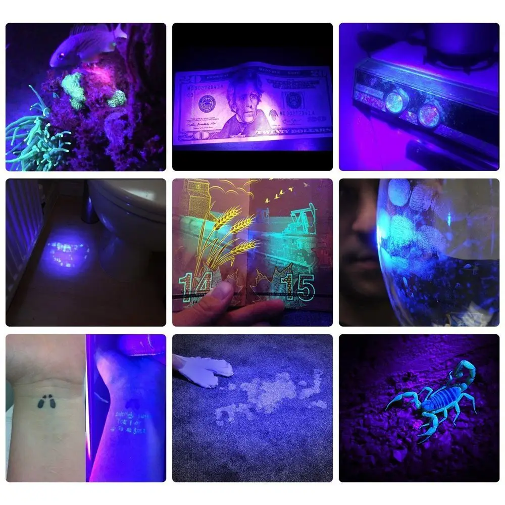 100led UV blacklight flashlight (10)