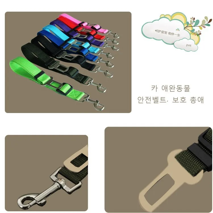 Belt-7