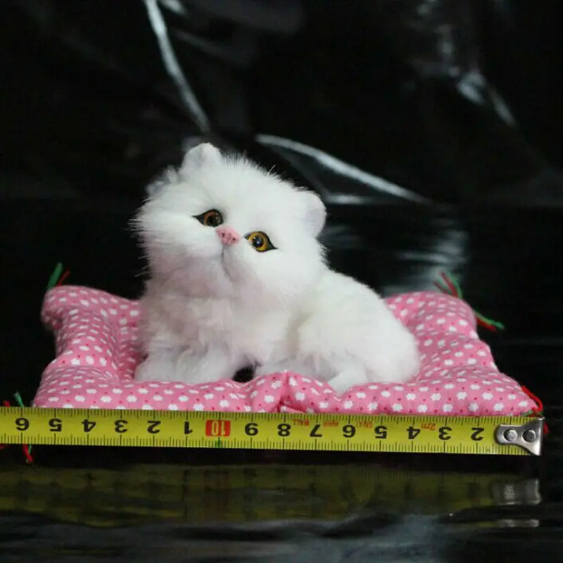 cat-03