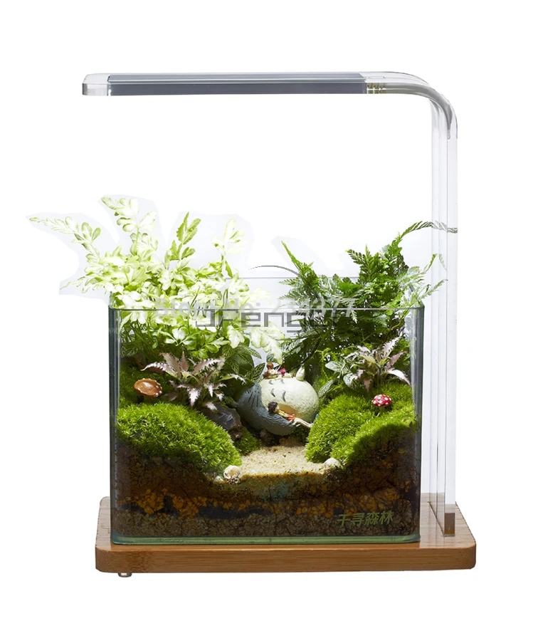 Chihiros стиль ada aquasky Wabikusa arcylic аквариумный заводской светодиодный аквариум Jianmu Wood