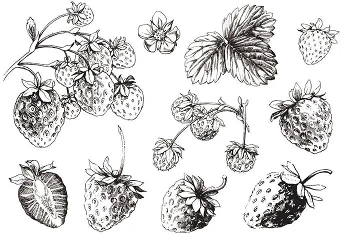 

Strawberry Clear Stamp for Scrapbooking Transparent Silicone Rubber DIY Photo Album Decor 1433