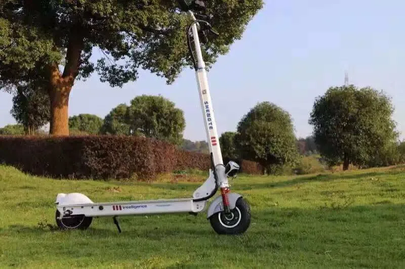 Top 2017 Shengte 36V 21A Two Wheel Electric Scooter colorful long mileage E-Scooter 0