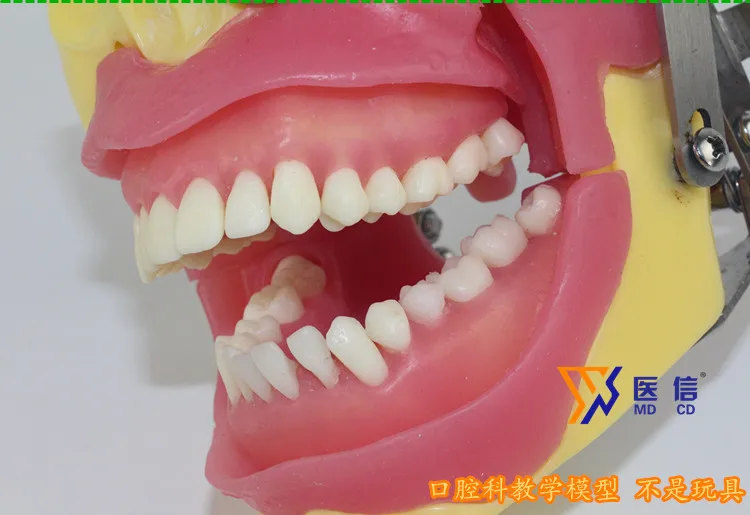 //img.alicdn.com/imgextra/i3/466366108/TB2euAjtpXXXXXcXXXXXXXXXXXX_!!466366108.jpg