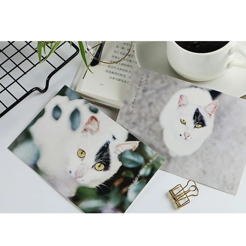 4 предмета в партии, с милым рисунком кота лес открытка поздравительная открытка подарок открытка на день рождения поздравительных