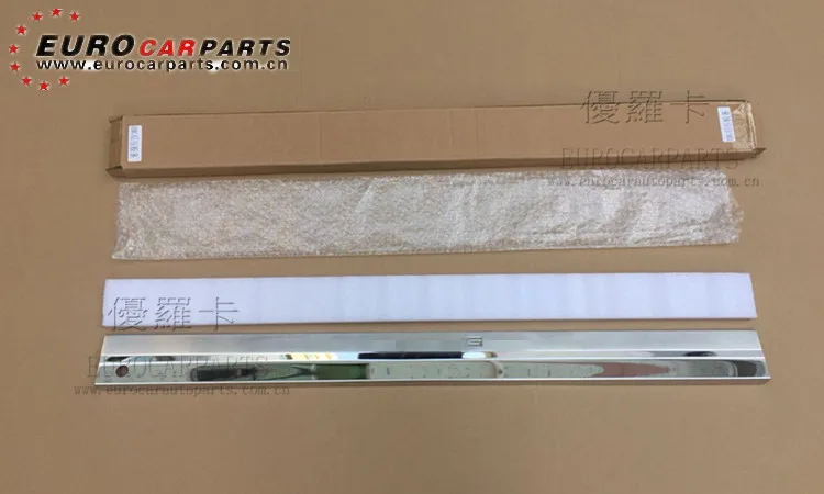 rear door sill 1
