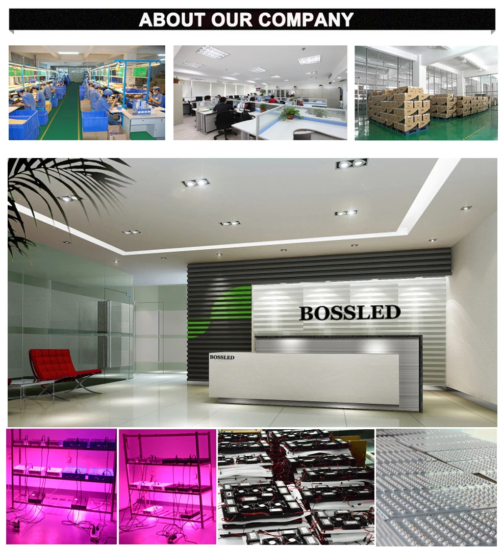LED-grow-light