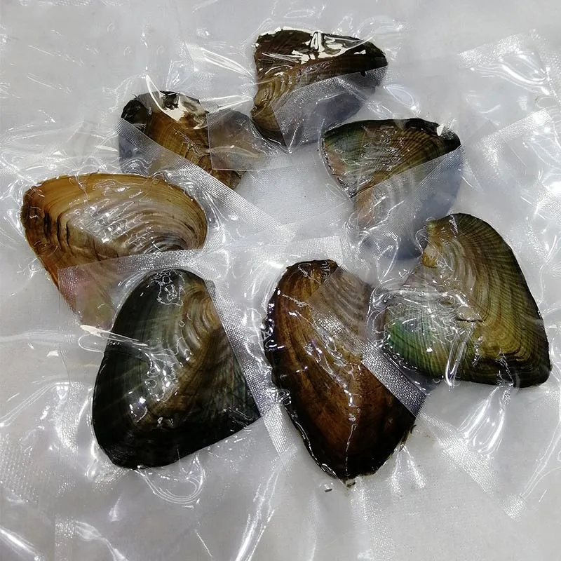 

Oysters Real Pearl Gift Individually Wrapped Vacuum Package 7-8mm Jewelry Shell TT@88