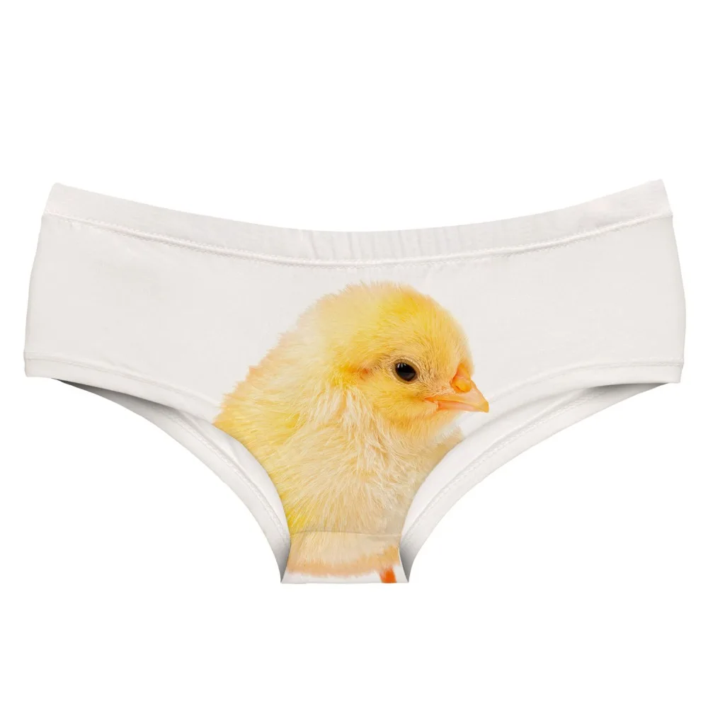 54928 baby chicken (3)