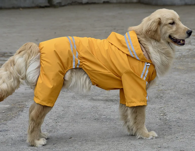 Новинка! 5 размеров одежда с принтом в виде собак дождевик для животных для маленьких и крупных собак Одежда для животных