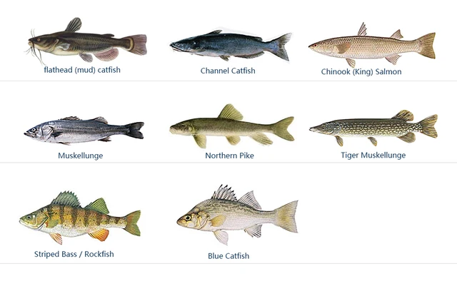 24PCS/Lot Size1-Size4 Fishing Hook Mepps Spinner Fishing Lures Wobblers  Treble Hooks Bulk Fishing Tackle Pesca - AliExpress