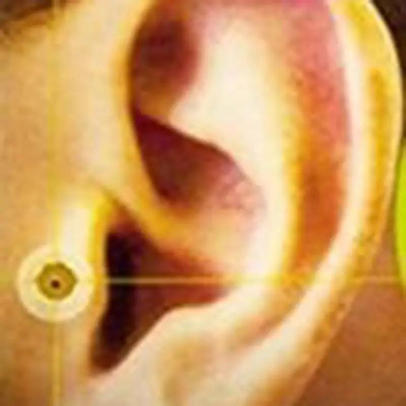 Women Men Slimming Earring Unisex Magnet Ear stud Earring Acupuncture Massage Acupuncture Ear Magnetic Slimming Earrings Z00 Women Men Slimming Earring Unisex Magnet Ear stud Earring Acupuncture Massage Acupuncture Ear Magnetic Slimming Earrings Z00