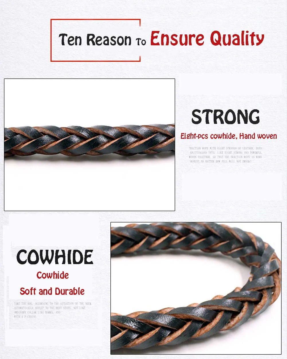 4 Collars, Harnesses & Leads