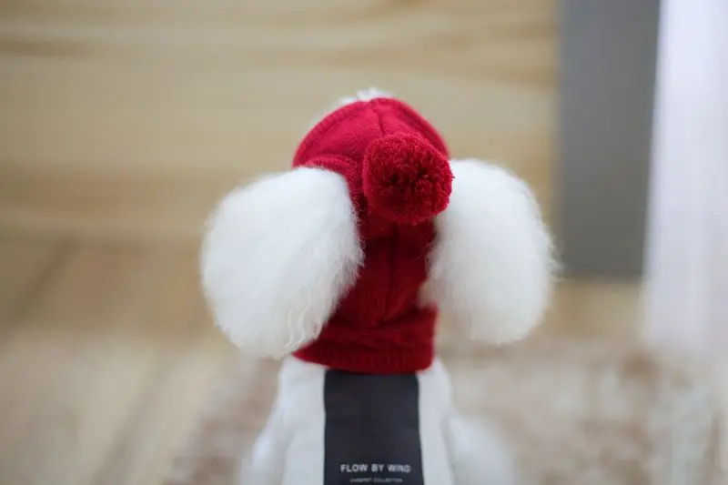 pet hat (1)