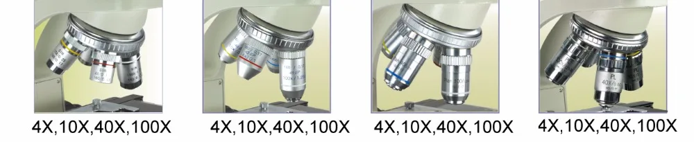 Pherix 40X-1600X Профессиональный бинокулярный микроскоп план объектива четкие изображения для наблюдения труда биологическая наука микроскопия