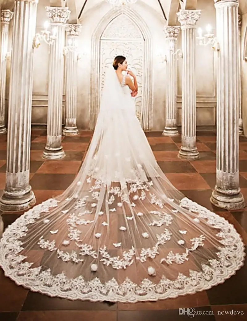 2019-designed-wedding-veils-cathedral-length-bridal-veils-lace-cut-edge-appliqued-one-layers-customized-length-bridal-veil-with-free-combs