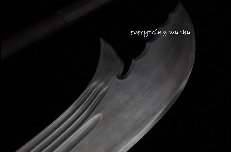 36020160217205945886