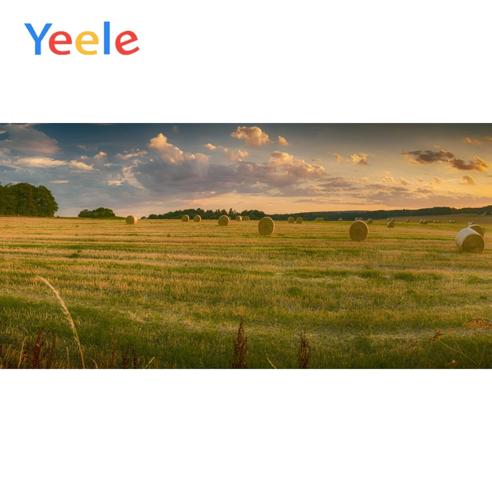 

Yeele Farm Haystack Harvest Background Wall Poster Dreamy Scene Baby Photography Child Photographic Backdrop For Photo Studio