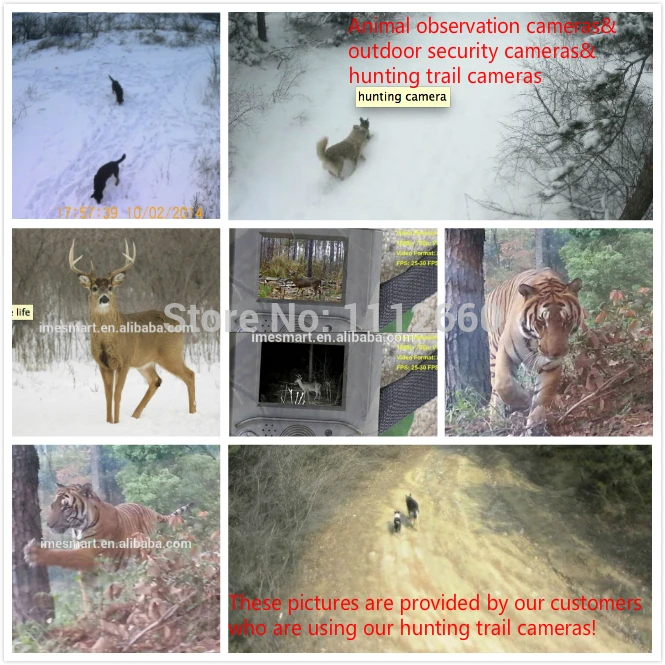 photo traps trail camera (1)