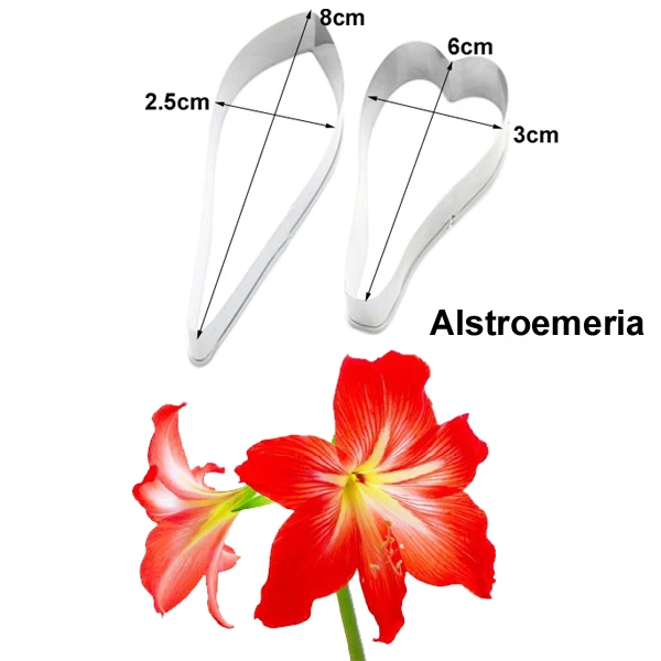 ssm029-1 