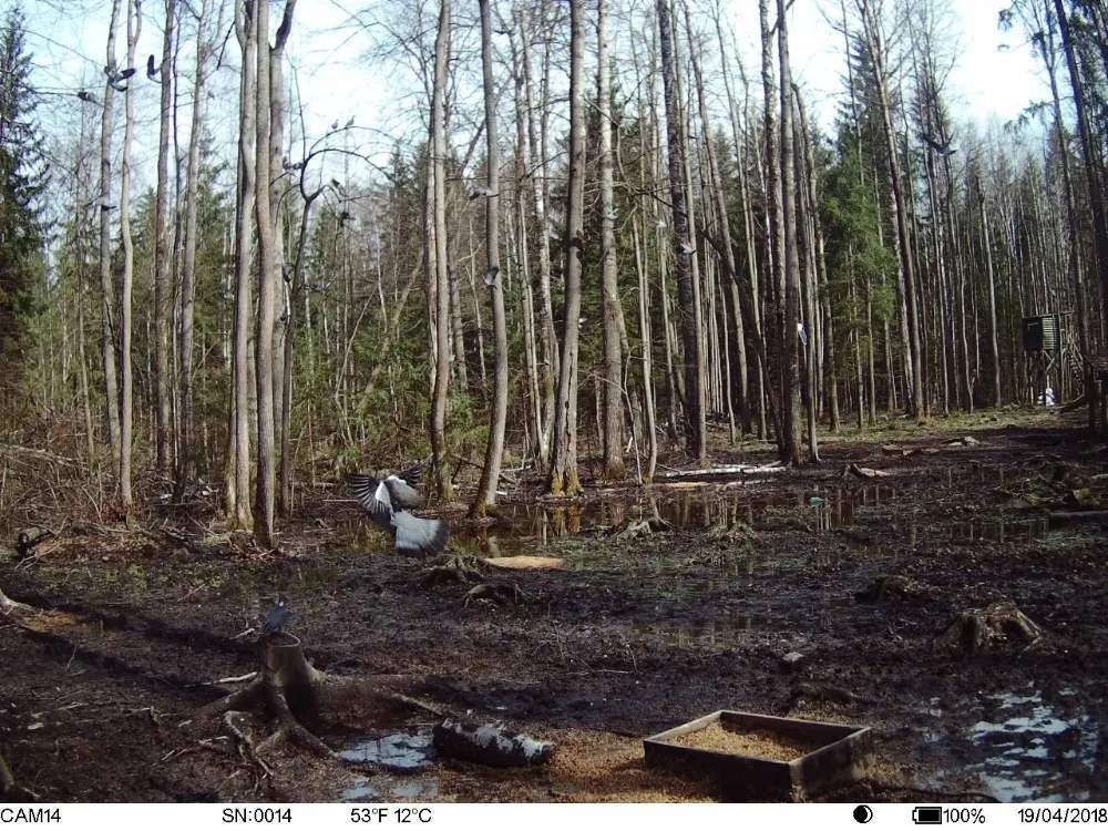 HTB1TOmflHwrBKNjSZPcq6xpapXas