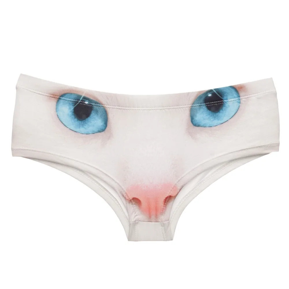 37054 BLUE EYES CAT (3)