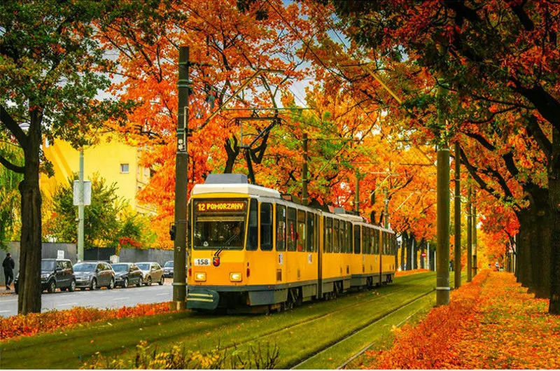 Diamond-Painting-Full-Square-Landscape-Rhinestones-Cross-stitch-Craft-Embroidery-Colorful-Leaves-Diamond-Mosaic-Home-Decoration.jpg_640x640