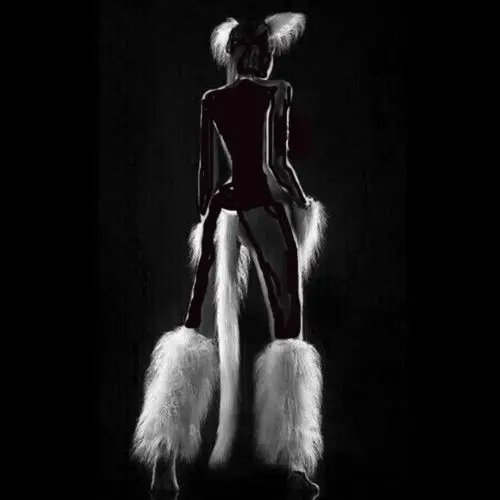 Sex Bondage Fetish SM Pet Play Game Set Furry Head Piece, Pet Paw ,Leg Piece ,Anal Plug Fox Tail Adult Female Slave Restraint