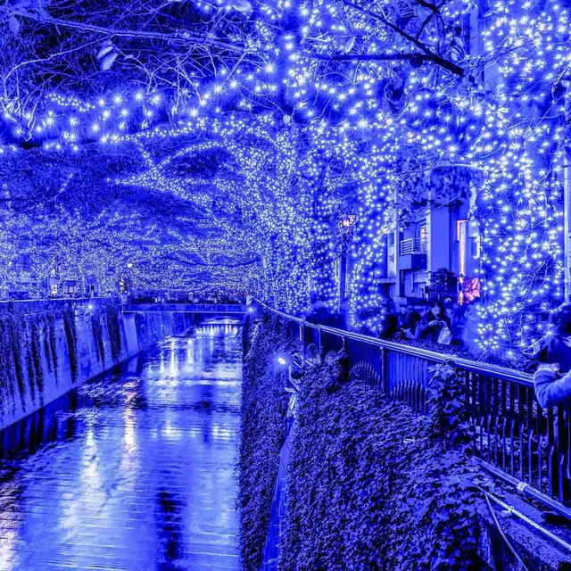 Solar Fairy String Lights 56ft 100 Led Blue Waterproof Christmas Solar Fairy String Lights 56ft 100 Led Blue Waterproof Christmas Decorative Light For Gardens Lawn Patio Tree
