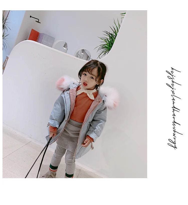 O1CN01Xy8bQf1wTZGMU1wiy_!!54836309