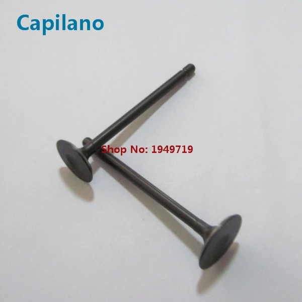AN125 engine valve (1)