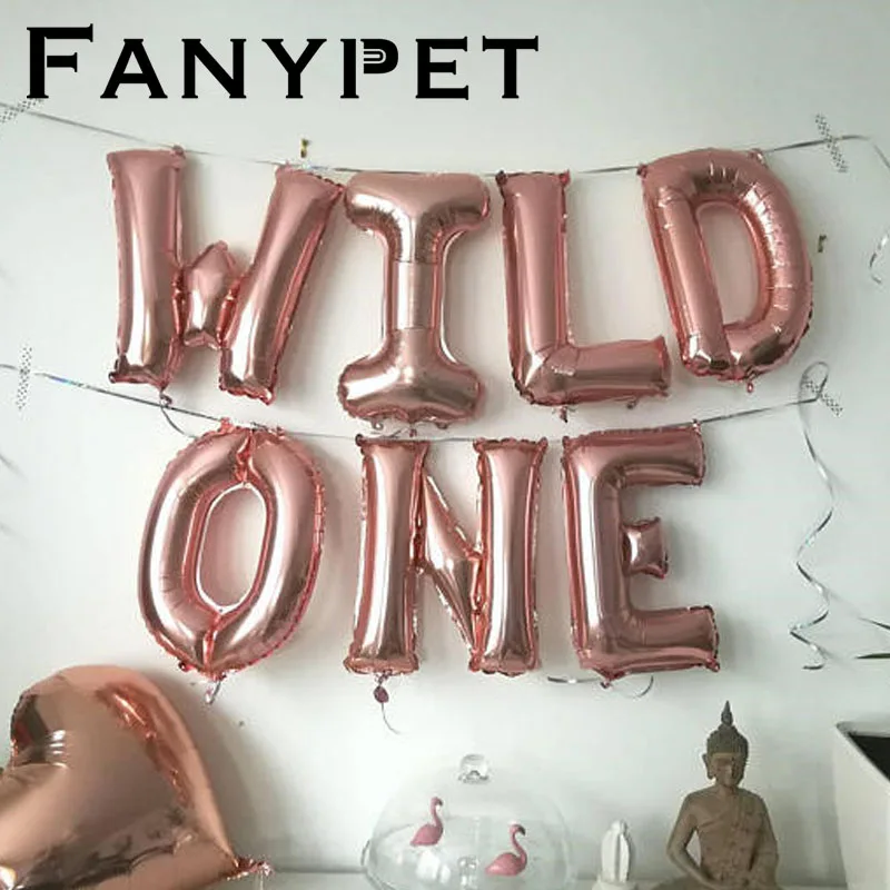 wild one 1
