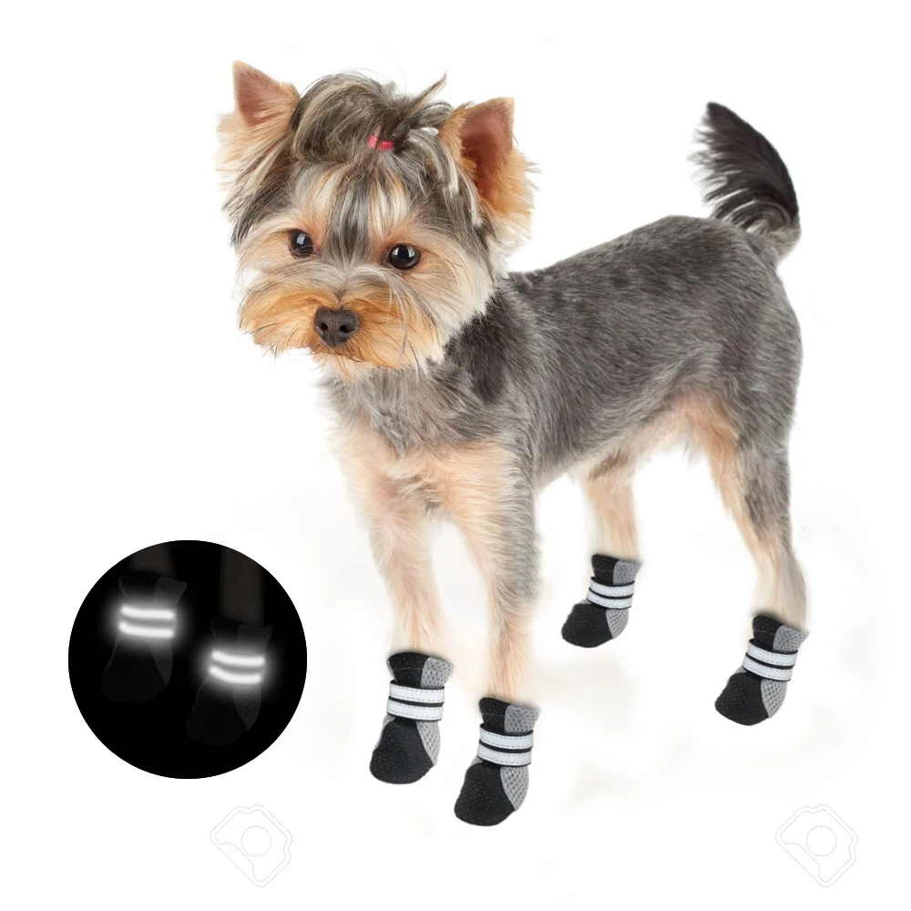Köpek ayakkabısı